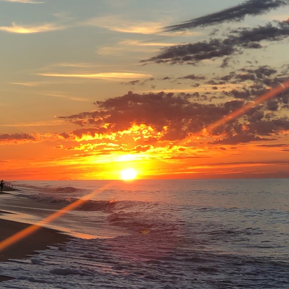 Meet your Posher, Anabell - Picture 1 of 1